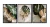 Trio de Quadros Decorativos Quincy na internet