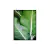 Quadro Decorativo Floral Tropic - comprar online