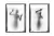 Conjunto de Quadros Decorativos Fantôme na internet
