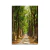 Quadro Decorativo em Tela Wood na internet