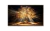 Quadro Decorativo Liora - comprar online
