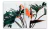 Conjunto de Quadros Decorativos Plants na internet
