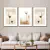 Trio de Quadros Decorativos Allison