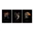 Trio de Quadros Decorativos Majestic - comprar online