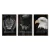 Trio de Quadros Decorativos Obstinacy - comprar online