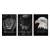 Trio de Quadros Decorativos Obstinacy na internet