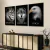 Trio de Quadros Decorativos Focus