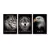 Trio de Quadros Decorativos Focus na internet