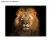 Quadro Decorativo Majestade - comprar online