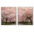 Conjunto de Quadros Decorativos Arya na internet