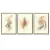 Trio de Quadros Decorativos Narumi - comprar online