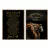 Conjunto de Quadros Decorativos Prince na internet
