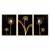 Trio de Quadros Decorativos Agapi - comprar online