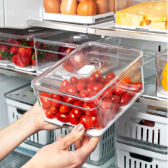 ORGANIZADOR DE GELADEIRA 2,2L - comprar online