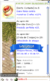 Anel de Jasper [1] (Valhalla) na internet