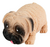 Cachorro Dog Estica Divertido