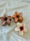 BROCHE HAWAI BICOLOR - comprar online