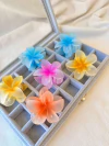 BROCHE HAWAI MEDIANO