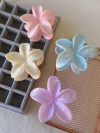 BROCHE HAWAI