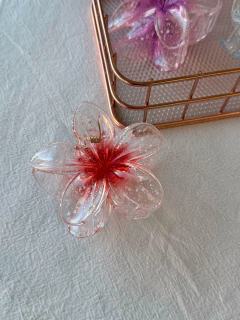 BROCHE HAWAI