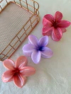 BROCHE HAWAI