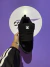 DC COURT GRAFFIK SLAYER ROXO - Cosmic Shoes