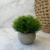 PLANTA ARTIFICIAL CON MACETA GOLAN 15X13CM - comprar online