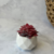 PLANTA ARTIFICIAL CON MACETA SUCULENT MIX 1 8X10CM - comprar online