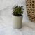 PLANTA ARTIFICIAL CON MACETA CONCRET MIX 4 8X18CM - comprar online