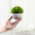 PLANTA ARTIFICIAL CON MACETA CIRCUS GREEN 15X13CM en internet