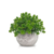 PLANTA ARTIFICIAL CON MACETA CIRCUS GREEN 15X13CM