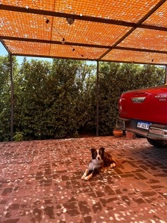 CLASSIC Lista para Colgar 3x3 mts - Red Sombreo