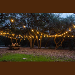 Luces Guirnalda 10m con 20 Focos Retro Vintage filamento LED - tienda online