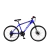 Bicicleta Fire Bird MTB 21v R24