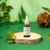 ESSÊNCIA CONCENTRADA CAPIM LIMÃO 40ml - comprar online
