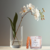 VELA AROMÁTICA ORQUÍDEAS 200g - comprar online