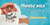 Banner de Sereias de Vix