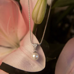 Colar prateado com pingente de pérola suspenso sobre pétalas de flor rosa