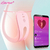 Vibrador de Calcinha APP