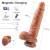 Pênis Realistico com 10 Vibrações Aplicativo Vai e Vem - Sex Shop Rio Preto