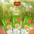 KIT 30 UND TOOP WAFER ZERO ACUCAR LIMAO 78G - Santa Marina