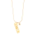 COLAR SIGNO + INICIAL MINI CRAVEJADA