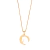 COLAR CAVALO 2 PARTES - comprar online
