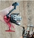 Reel Frontal Vista 3000fd 5.2:1 Rel