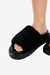 Birken Pelo Luiza na internet