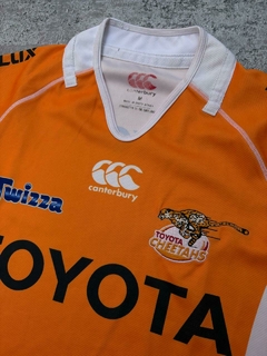 Camiseta Canterbury Cheetahs SR en internet