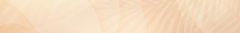 Banner da categoria BLOW HOTFLOWERS
