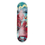 Shape Shield Marfim 8.0 Samurai + Lixa Grátis - comprar online