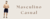 Banner de Actie - Fitness e Casual 
