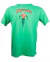 REMERA AQUAMAN VERDE LARGE ROPH-010V3
